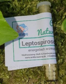 Leptospirose-Impf-Nosode - 022   1,3g