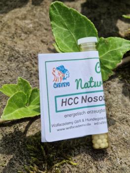 HCC (Hepatitis contagiosa canis) Nosode-61