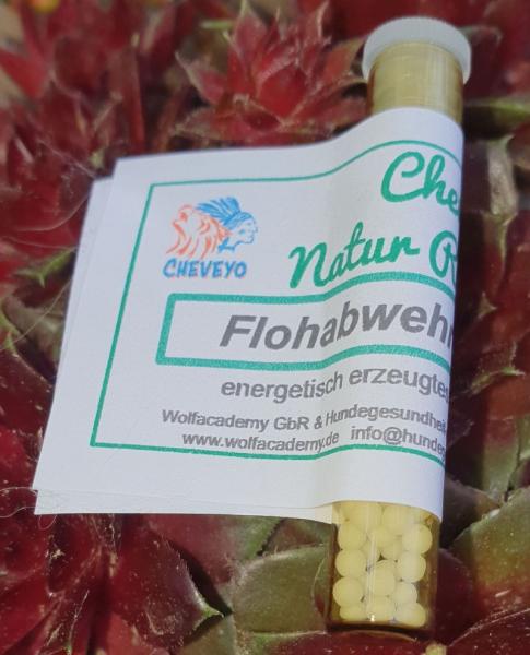 Flohabwehr